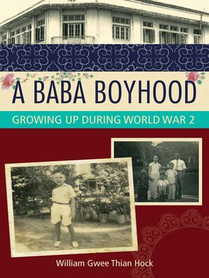 cover image of A Baba Boyhood